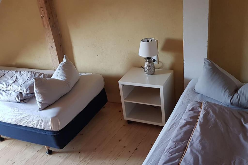 Ferienwohnung Salamander Pirna Exterior foto